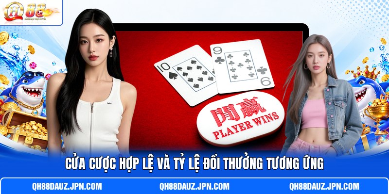 Cửa cược hợp lệ và tỷ lệ đổi thưởng tương ứng