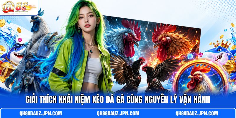 Giải thích khái niệm kèo đá gà cùng nguyên lý vận hành