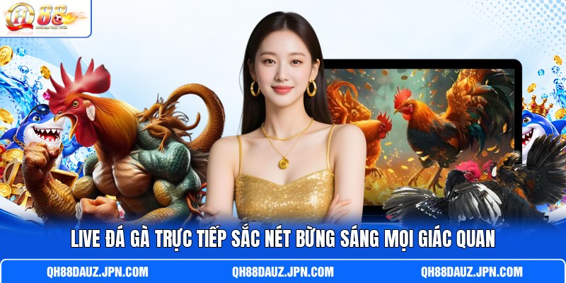 Live đá gà trực tiếp sắc nét bừng sáng mọi giác quan