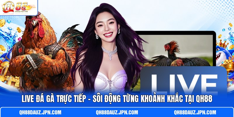 Live Đá Gà Trực Tiếp - Sôi Động Từng Khoảnh Khắc Tại QH88