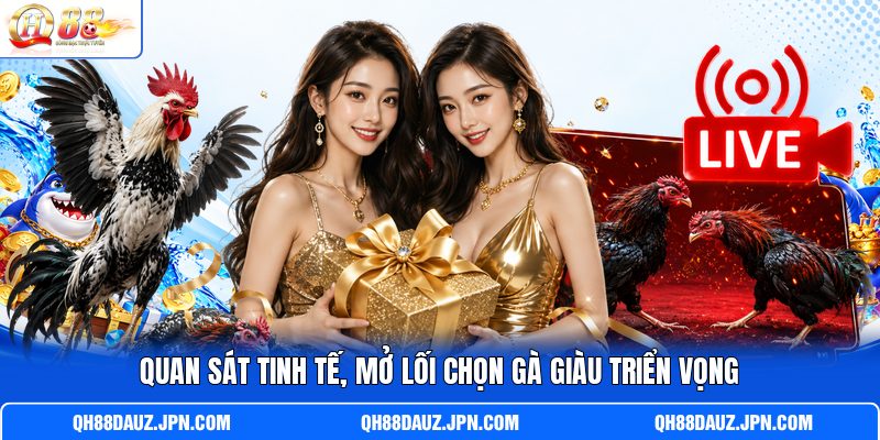 Quan sát tinh tế, mở lối chọn gà giàu triển vọng