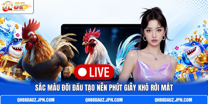 Sắc màu đối đầu tạo nên phút giây khó rời mắt