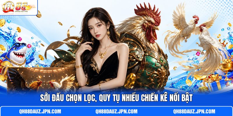 Sới đấu chọn lọc, quy tụ nhiều chiến kê nổi bật